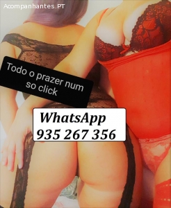 Loucas da Web